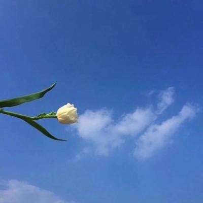 山海名将传破解版下载
